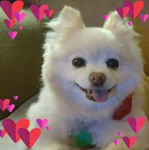 Meet your Posher, Kay